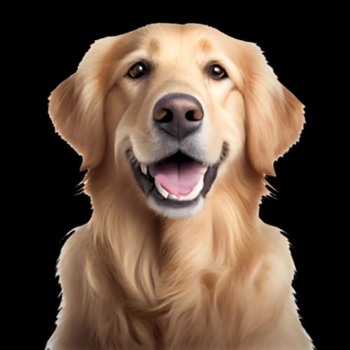 Symbol für Hunde