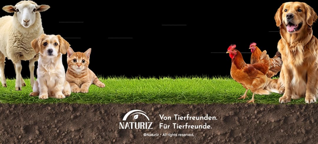 Dekoratives Grasbild am unteren Rand